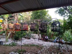 Training di Gantangan Pemersatu Bangsa, Seperti Latberan Saja