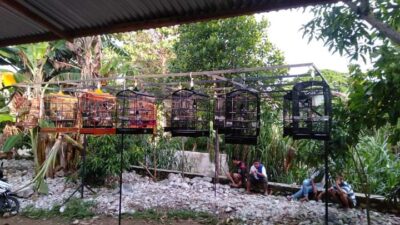 Suasana training di Gantangan Pemersatu Bangsa Air Camar.