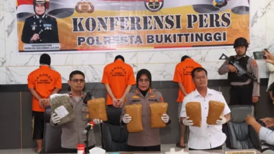 Polresta Bukittinggi melakukan konferensi pers seputar penangkaran barang bukti ganja serta tersangka.