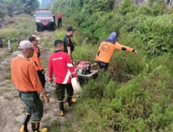 Kemarau Melanda, Pesisir Selatan Dilanda Kebakaran Hutan