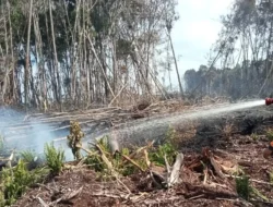 Karhutla di Pesisir Selatan Hanguskan 120 Hektare Lahan