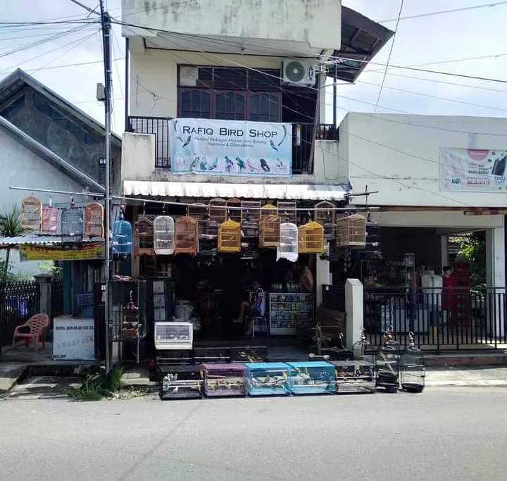 Kios Rafiq Bird Shop.
