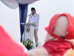 92 Persen Guru TK Berstatus Honorer, Ini Keluhan Mereka!