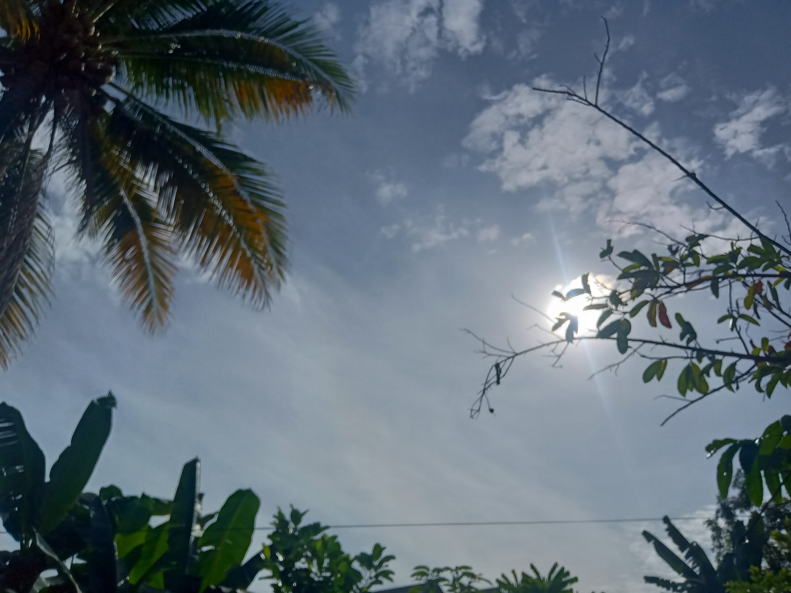 Sumbar terancam Kekeringan.