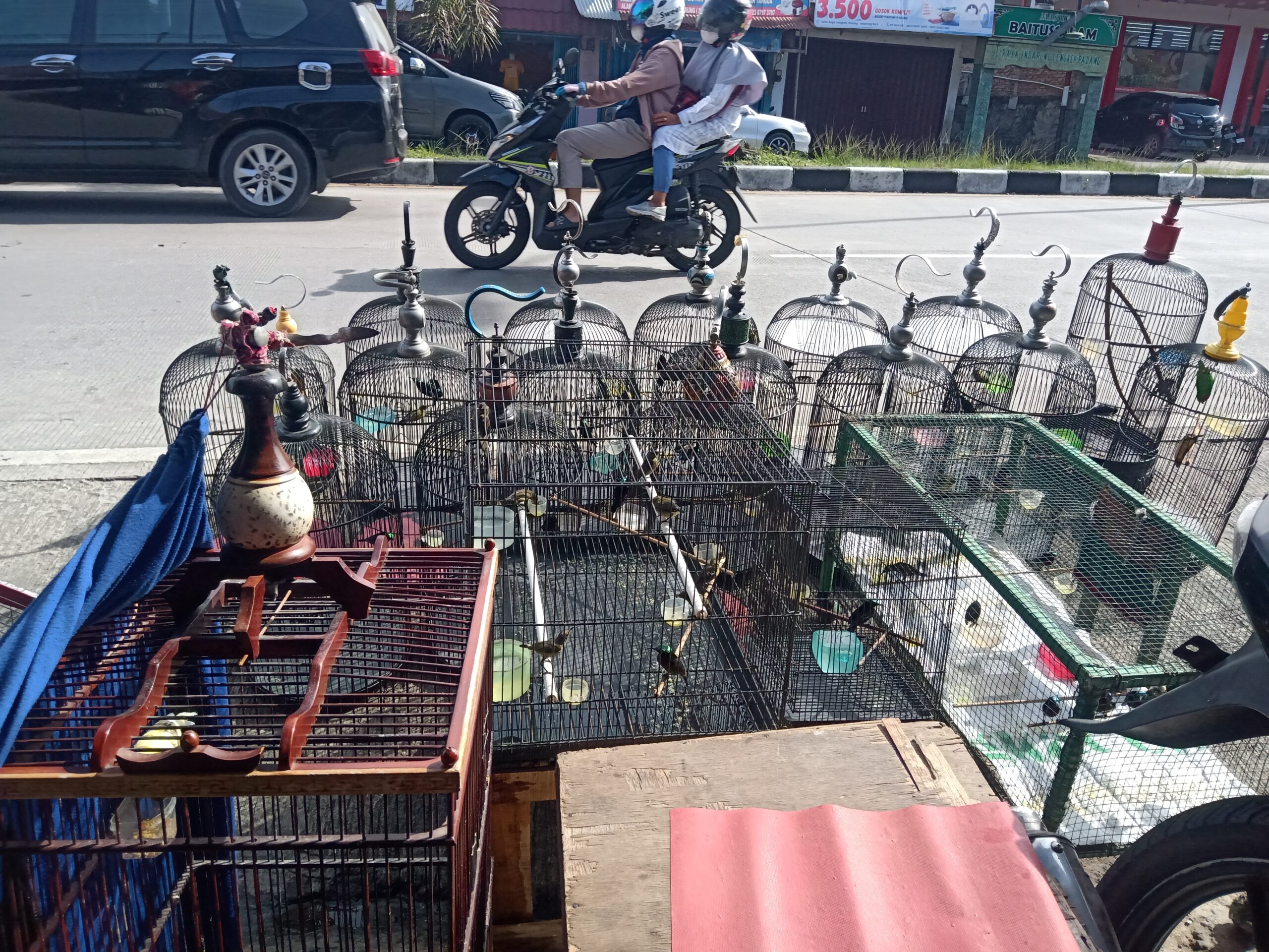 Puluhan pasang Konin koleksi Riki Hermanto.