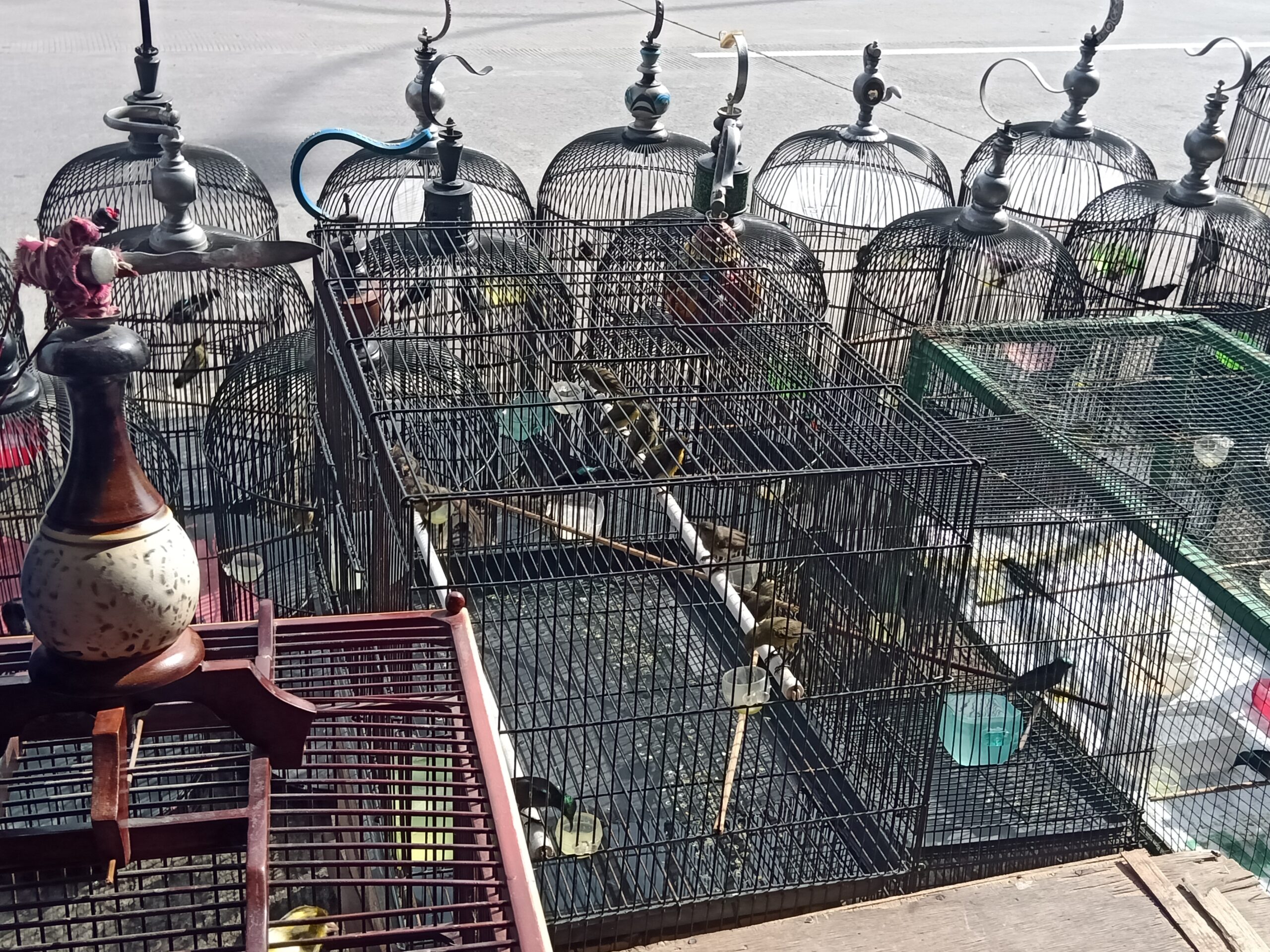 Sebagian Konin koleksi Hengki Hermanto.