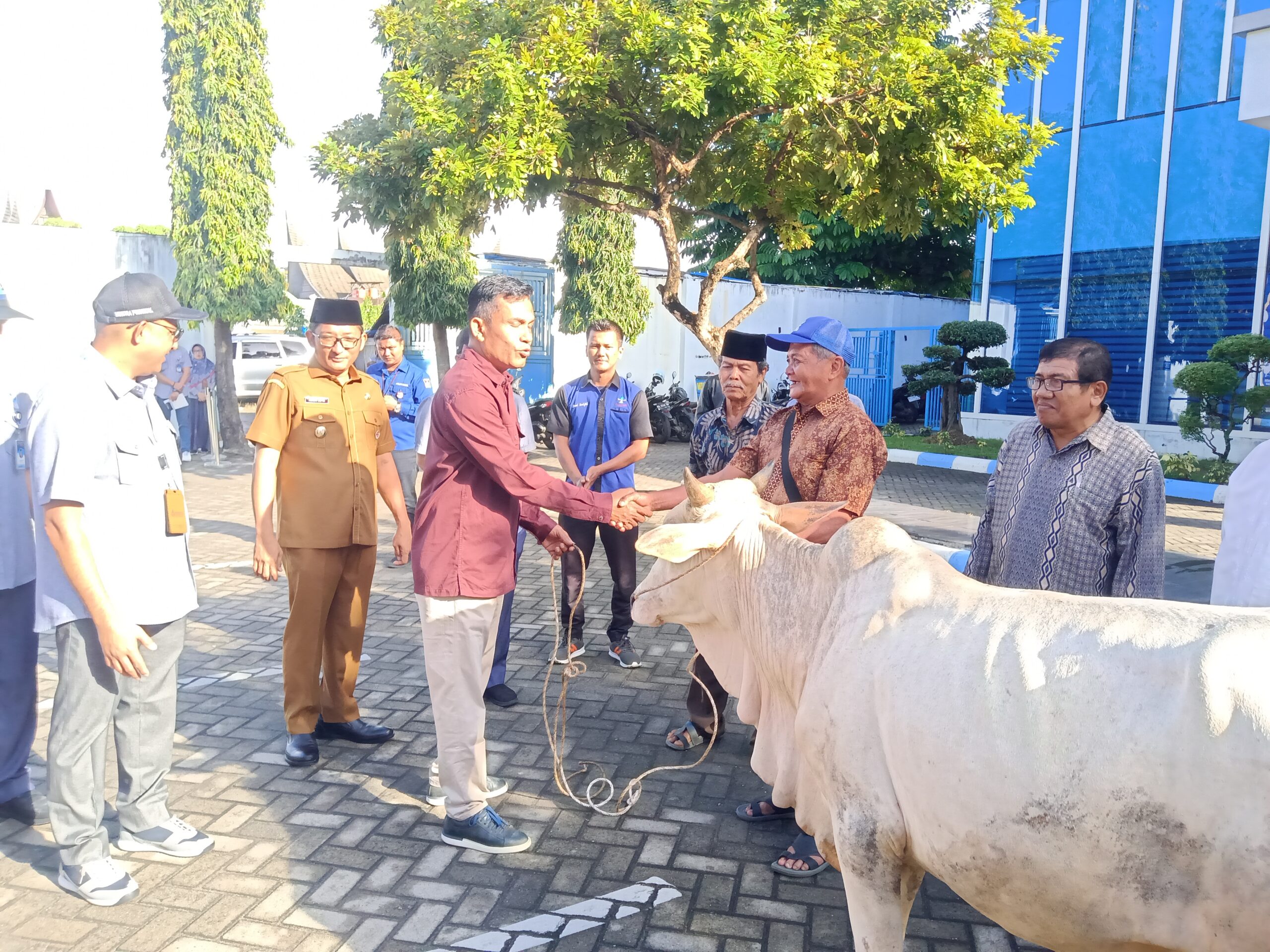 Anggota DPRD Padang, Helmi Moesim ikut menyerahkan sapi kurban kepada perwakilan masjid penerima.
