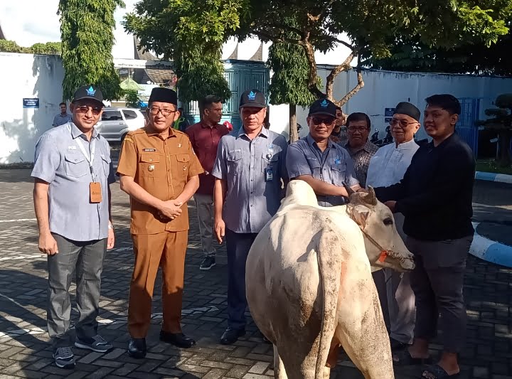 Direktur Teknik Perumda AM Padang, Andri Satri menyerahkan bantuan sapi kurban kepada pengurus masjid penerima sapi kurban.