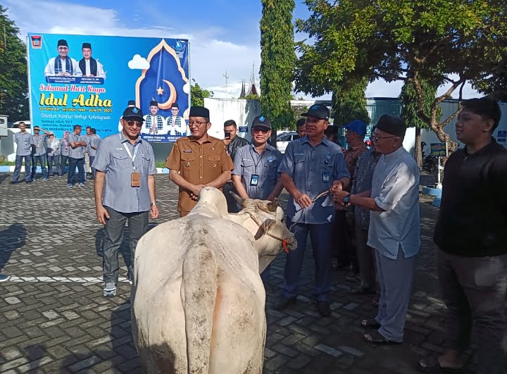 Direktur Umum Perumda AM Padang, Afrizal Kuning menyerahkan bantuan sapi kurban ke pengurus masjid penerima bantuan.