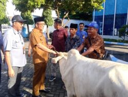 Perumda Air Minum Kota Padang Serahkan 73 Hewan Kurban dan Bantuan UMKM