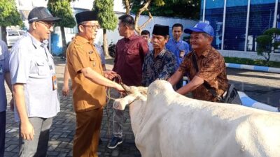 Walikota Padang Hendri Septa didampingi Dirut Perumda Air Minum Kota Padang dan jajaran direksi lainnya menyerahkan sapi kurban kepada perwakilan masjid penerima.