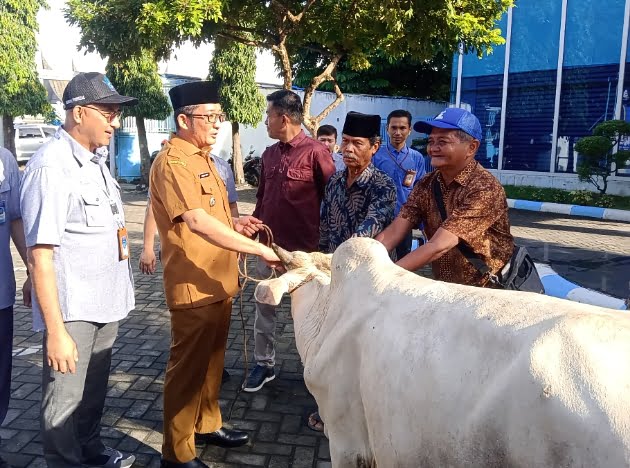 Walikota Padang Hendri Septa didampingi Dirut Perumda Air Minum Kota Padang dan jajaran direksi lainnya menyerahkan sapi kurban kepada perwakilan masjid penerima.