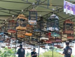 Siapkan Amunisinya, Kumpul Satu Titik di Anniversary Kisay Kafe Payakumbuh