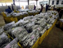 Perusahaan Perikanan Ini Butuh Karyawan, Terbuka untuk SMA Sederajat dan Mahasiswa