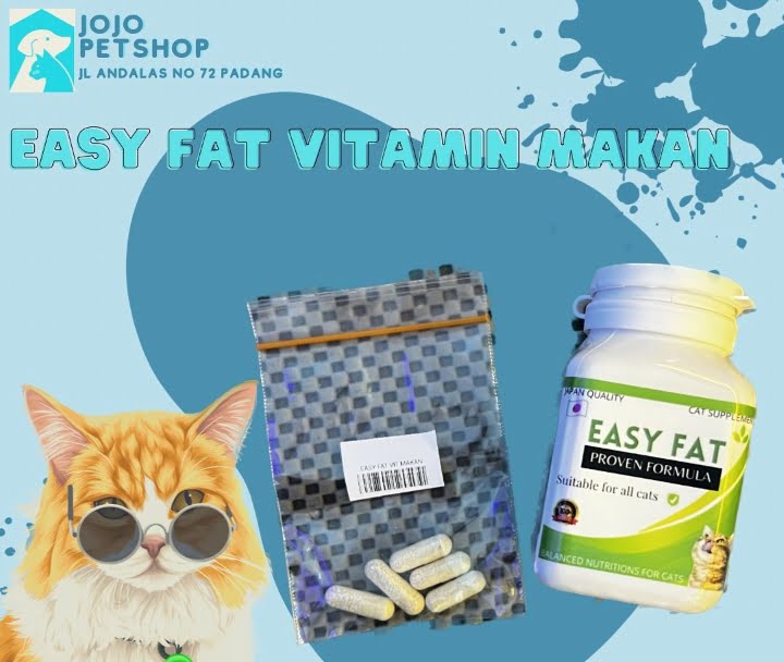 Jojo Petshop Padang.