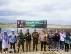 340 Bibit Mangrove Ditanam di Pantai Muro Tanjung