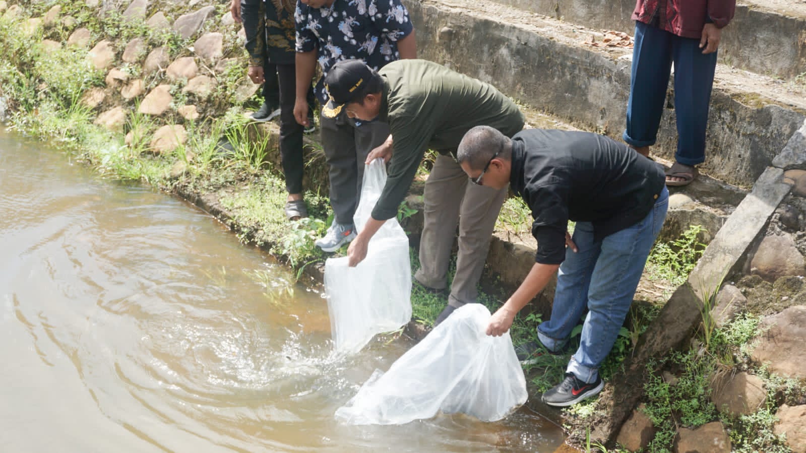 Tebarkan 10.000 benih Ikan Nila di Batang Gunung Kecamatan Lembah Melintang, Wabup Risnawanto minta masyarakat jaga ekosistem sungai.