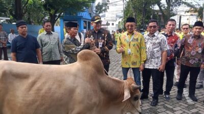 PJ Walikota Padang Andree Algamar didampingi Dirut Perumda AM Padang Hendra Pebrizal, jajaran Direksi dan Dewas menyerahkan sapi kurban secara simbolis kepada salah satu pengurus masjid penerima.