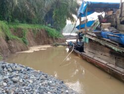 Selamatkan Alam, Walinagari Siguntur Buat Kesepakatan dengan Penambang Emas Ilegal 