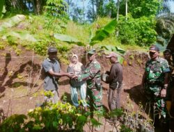 Satgas TMMD Ke-121 Kodim 0311/Pessel Bersama Warga Tanam Pohon Lestarikan Lingkungan