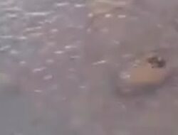 Perumda AM Padang Lakukan Pengerukan Intek Paluki, Daerah Ini Terdampak!