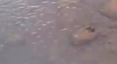 Perumda AM Padang lakukan Pengerukan sendimen di Intake Paluki untuk meningkatkan pelayanan.