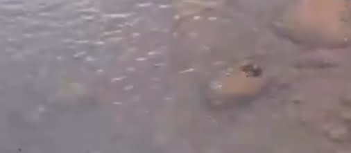 Perumda AM Padang lakukan Pengerukan sendimen di Intake Paluki untuk meningkatkan pelayanan.