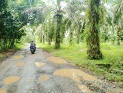 Berharap Pada Bupati Baru, Masyarakat  Tiumang Rindukan Jalan Penghubung 